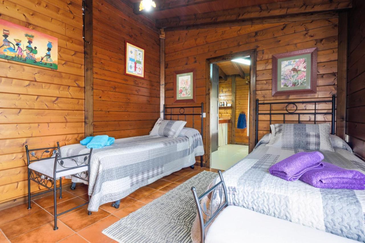 Casa Rural Con Piscina Arafo Exteriér fotografie